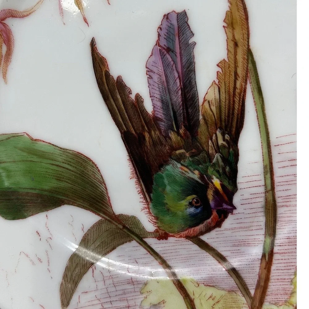 Antique Painted Porcelain Hummingbird Scalloped Cabinet Plate Gold Trim 8.5 Inch
